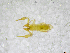  ( - BGE_00502_F08)  @11 [ ] Copyright (2024) Unspecified Croatian Biospeleological Society