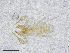  ( - BGE_00502_F09)  @11 [ ] Copyright (2024) Unspecified Croatian Biospeleological Society