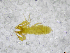  ( - BGE_00502_F10)  @11 [ ] Copyright (2024) Unspecified Croatian Biospeleological Society