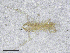  ( - BGE_00502_F11)  @11 [ ] Copyright (2024) Unspecified Croatian Biospeleological Society