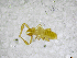  ( - BGE_00502_F12)  @11 [ ] Copyright (2024) Unspecified Croatian Biospeleological Society