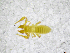  ( - BGE_00502_G01)  @11 [ ] Copyright (2024) Unspecified Croatian Biospeleological Society