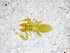  ( - BGE_00502_G01)  @11 [ ] Copyright (2024) Unspecified Croatian Biospeleological Society