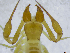  ( - BGE_00502_G03)  @11 [ ] Copyright (2024) Unspecified Croatian Biospeleological Society