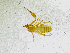  ( - BGE_00502_G04)  @11 [ ] Copyright (2024) Unspecified Croatian Biospeleological Society