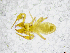  ( - BGE_00502_G05)  @11 [ ] Copyright (2024) Unspecified Croatian Biospeleological Society