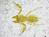  ( - BGE_00502_G06)  @11 [ ] Copyright (2024) Unspecified Croatian Biospeleological Society