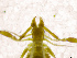 ( - BGE_00501_E07)  @11 [ ] Copyright (2024) Unspecified Croatian Biospeleological Society