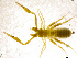  ( - BGE_00501_E07)  @11 [ ] Copyright (2024) Unspecified Croatian Biospeleological Society
