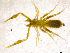  ( - BGE_00501_E07)  @11 [ ] Copyright (2024) Unspecified Croatian Biospeleological Society