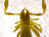  ( - BGE_00501_E08)  @11 [ ] Copyright (2024) Unspecified Croatian Biospeleological Society