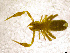  ( - BGE_00501_E08)  @11 [ ] Copyright (2024) Unspecified Croatian Biospeleological Society