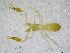  ( - BGE_00502_G11)  @11 [ ] Copyright (2024) Unspecified Croatian Biospeleological Society