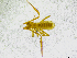  ( - BGE_00502_H01)  @11 [ ] Copyright (2024) Unspecified Croatian Biospeleological Society