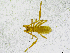  ( - BGE_00502_H01)  @11 [ ] Copyright (2024) Unspecified Croatian Biospeleological Society