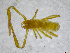  ( - BGE_00502_H02)  @11 [ ] Copyright (2024) Unspecified Croatian Biospeleological Society