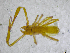  ( - BGE_00502_H02)  @11 [ ] Copyright (2024) Unspecified Croatian Biospeleological Society