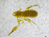  ( - BGE_00502_H03)  @11 [ ] Copyright (2024) Unspecified Croatian Biospeleological Society