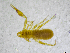  ( - BGE_00502_H03)  @11 [ ] Copyright (2024) Unspecified Croatian Biospeleological Society