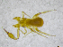  ( - BGE_00502_H04)  @11 [ ] Copyright (2024) Unspecified Croatian Biospeleological Society