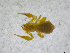  ( - BGE_00502_H05)  @11 [ ] Copyright (2024) Unspecified Croatian Biospeleological Society