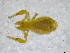  ( - BGE_00502_H06)  @11 [ ] Copyright (2024) Unspecified Croatian Biospeleological Society