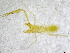  ( - BGE_00502_H11)  @11 [ ] Copyright (2024) Unspecified Croatian Biospeleological Society