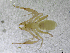  ( - BGE_00501_E10)  @11 [ ] Copyright (2024) Unspecified Croatian Biospeleological Society