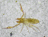  ( - BGE_00503_A09)  @11 [ ] Copyright (2024) Unspecified Croatian Biospeleological Society