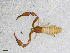  ( - BGE_00507_B02)  @11 [ ] Copyright (2024) Unspecified Croatian Biospeleological Society