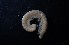  ( - BGE_00520_D03)  @11 [ ] Copyright (c) (2024) Unspecified Croatian Biospeleological Society