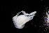  ( - BGE_00516_F02)  @11 [ ] CreativeCommons  Attribution (by) (2025) Unspecified Croatian Biospeleological Society