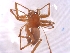  ( - BGE_00512_H04)  @11 [ ] by (2024) Unspecified Ruder Boskovic Institute, Bijenicka Cesta 54, 10000, Zagreb