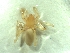  (Mesostalita - BGE_00510_C07)  @11 [ ] by (2024) Unspecified Ruder Boskovic Institute, Bijenicka Cesta 54, 10000, Zagreb