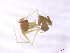  ( - BGE_00512_D05)  @11 [ ] by (2024) Unspecified Ruder Boskovic Institute, Bijenicka Cesta 54, 10000, Zagreb