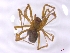  ( - BGE_00510_D06)  @11 [ ] by (2024) Unspecified Ruder Boskovic Institute, Bijenicka Cesta 54, 10000, Zagreb
