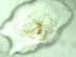  ( - BGE_00520_A07)  @11 [ ] by (2024) Unspecified Ruder Boskovic Institute, Bijenicka Cesta 54, 10000, Zagreb