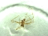  ( - BGE_00513_D02)  @11 [ ] by (2024) Unspecified Ruder Boskovic Institute, Bijenicka Cesta 54, 10000, Zagreb