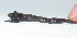  ( - AJC 3478)  @13 [ ] CreativeCommons - Attribution Non-Commercial Share-Alike (2011) Andrew J. Crawford Universidad de los Andes