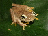 ( - AJC 3925)  @14 [ ] CreativeCommons - Attribution Non-Commercial Share-Alike (2011) Andrew J. Crawford Universidad de los Andes