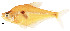  (Roeboides carti - stri-321)  @14 [ ] Unspecified (default): All Rights Reserved  Unspecified Unspecified