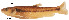  ( - stri-10082)  @12 [ ] Unspecified (default): All Rights Reserved  Unspecified Unspecified