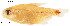  ( - stri-11199)  @12 [ ] Unspecified (default): All Rights Reserved  Unspecified Unspecified