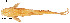  ( - stri-11384)  @12 [ ] Unspecified (default): All Rights Reserved  Unspecified Unspecified