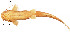  ( - stri-11527)  @13 [ ] Unspecified (default): All Rights Reserved  Unspecified Unspecified