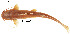  ( - stri-11528)  @12 [ ] Unspecified (default): All Rights Reserved  Unspecified Unspecified