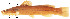  ( - stri-11528)  @12 [ ] Unspecified (default): All Rights Reserved  Unspecified Unspecified