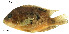  ( - stri-11786)  @14 [ ] Unspecified (default): All Rights Reserved  Unspecified Unspecified