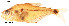  ( - stri-11811)  @14 [ ] Unspecified (default): All Rights Reserved  Unspecified Unspecified