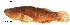  ( - stri-1210)  @14 [ ] Unspecified (default): All Rights Reserved  Unspecified Unspecified